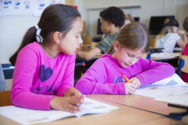 How do I order school milk or Optimel for my child's lunch break?