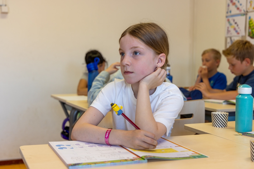 Schoolondersteuningsprofiel