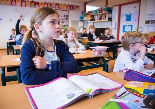 Ontwikkelingsgericht onderwijs