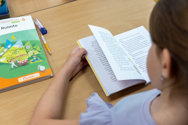 Ontwikkelingsgericht onderwijs
